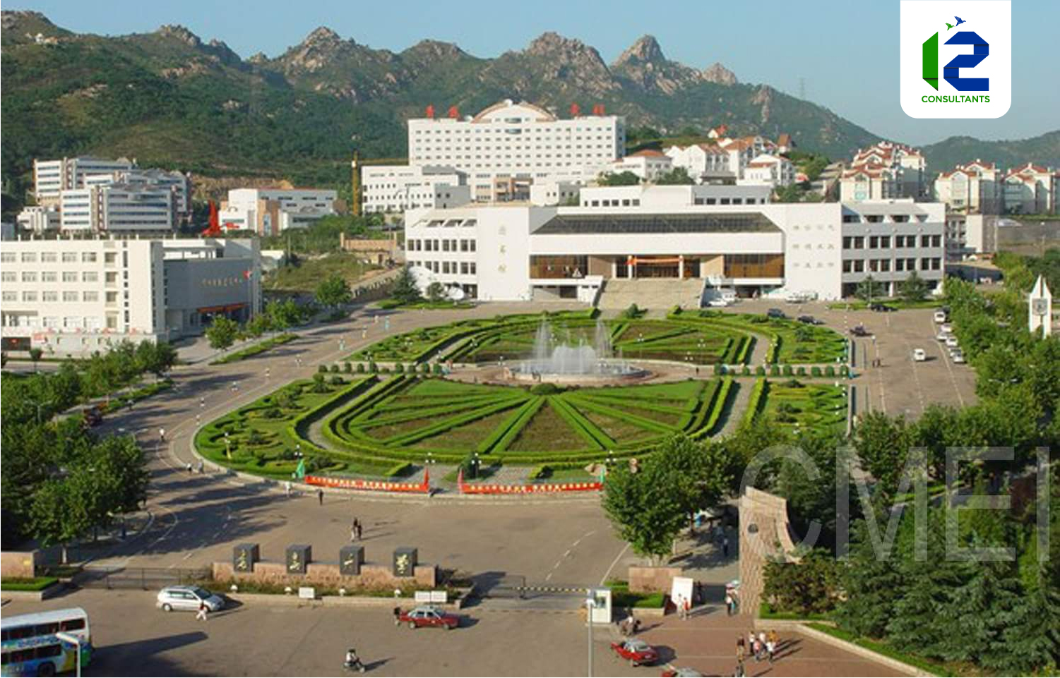 qingdao university